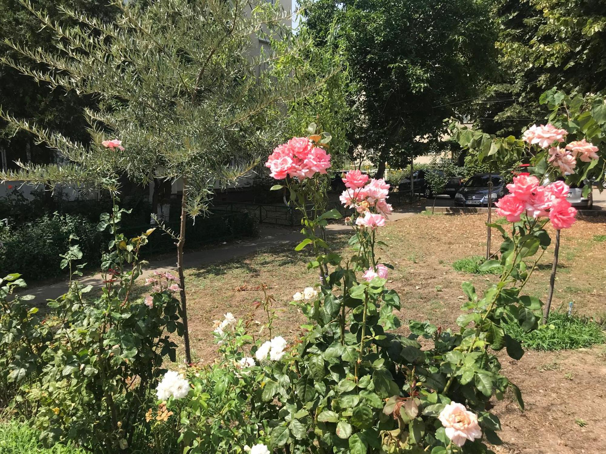 Apartament Langa Plaja Diana Mangalia Luaran gambar